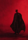Batman (Prototype Shown) View 11