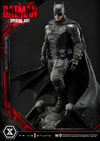 The Batman Special Art Edition Collector Edition (Prototype Shown) View 30