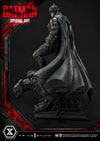 The Batman Special Art Edition Collector Edition (Prototype Shown) View 34