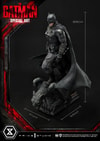 The Batman Special Art Edition Collector Edition (Prototype Shown) View 35