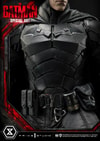 The Batman Special Art Edition Collector Edition (Prototype Shown) View 36