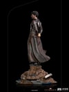 Druig (Prototype Shown) View 3