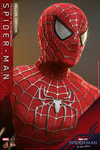 Friendly Neighborhood Spider-Man Collector Edition - Prototype Shown