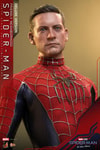 Friendly Neighborhood Spider-Man