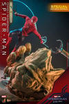 Friendly Neighborhood Spider-Man