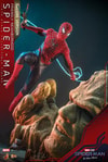 Friendly Neighborhood Spider-Man (Deluxe Version) (Special Edition)