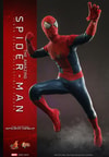 The Amazing Spider-Man