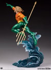 Aquaman (Prototype Shown) View 18