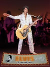 Elvis Presley (Vegas Edition)- Prototype Shown