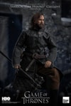 Sandor "The Hound" Clegane (Season 7) (Prototype Shown) View 4