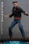 Wolverine (1973 Version)