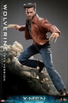 Wolverine (1973 Version) (Special Edition)