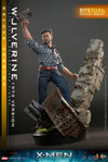 Wolverine (1973 Version) (Deluxe Version) (Special Edition) Exclusive Edition - Prototype Shown