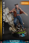 Wolverine (1973 Version) (Deluxe Version) (Special Edition) Exclusive Edition (Prototype Shown) View 1