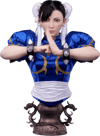 Chun-Li (Prototype Shown) View 24