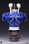 Chun-Li (Prototype Shown) View 21