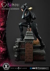 Catwoman