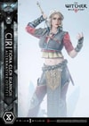 Cirilla Fiona Elen Riannon Alternative Outfit