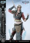Cirilla Fiona Elen Riannon Alternative Outfit