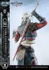 Cirilla Fiona Elen Riannon Alternative Outfit