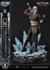 Cirilla Fiona Elen Riannon Alternative Outfit