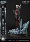 Cirilla Fiona Elen Riannon Alternative Outfit