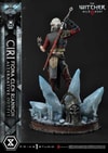 Cirilla Fiona Elen Riannon Alternative Outfit