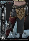 Cirilla Fiona Elen Riannon Alternative Outfit