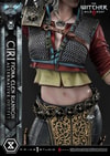 Cirilla Fiona Elen Riannon Alternative Outfit