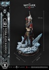 Cirilla Fiona Elen Riannon Alternative Outfit