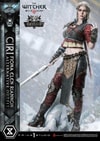 Cirilla Fiona Elen Riannon Alternative Outfit (Deluxe Version)