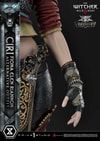 Cirilla Fiona Elen Riannon Alternative Outfit (Deluxe Version)