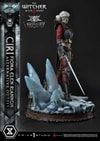 Cirilla Fiona Elen Riannon Alternative Outfit (Deluxe Version) (Prototype Shown) View 5