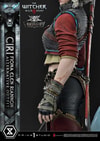 Cirilla Fiona Elen Riannon Alternative Outfit (Deluxe Version) (Prototype Shown) View 8