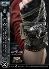 Cirilla Fiona Elen Riannon Alternative Outfit (Deluxe Bonus Version) (Prototype Shown) View 4