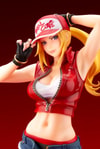 Terry Bogard Bishoujo (Prototype Shown) View 11