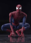 The Amazing Spider-Man- Prototype Shown
