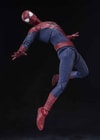 The Amazing Spider-Man