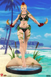 Cammy Collector Edition - Prototype Shown