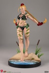 Cammy Collector Edition - Prototype Shown