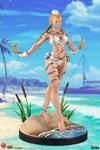 Cammy: Player 2 Collector Edition - Prototype Shown
