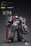Grey Knights Terminator Caddon Vibova
