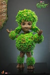 Groot