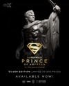 Superman: Prince of Krypton (Silver Edition) (Prototype Shown) View 10