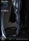 Batman Sonar Suit Collector Edition (Prototype Shown) View 63