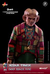 Quark (Prototype Shown) View 5