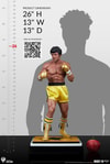 Rocky III (Prototype Shown) View 7
