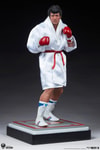 Rocky IV (Prototype Shown) View 14