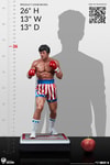 Rocky IV (Prototype Shown) View 6