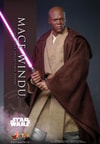 Mace Windu (Prototype Shown) View 1